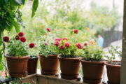 Foto: iStock