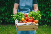Foto: iStock