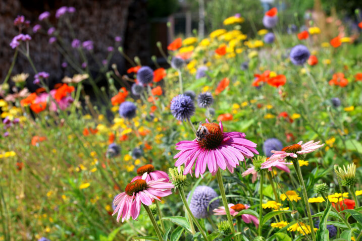Foto: iStock