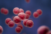 iStock