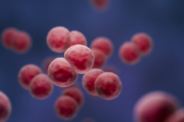 iStock