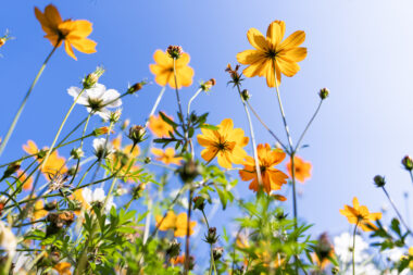 FOTO: iStock