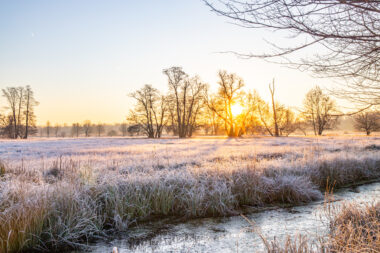 iStock