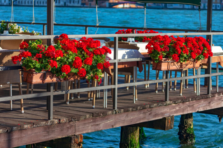 Foto: iStock