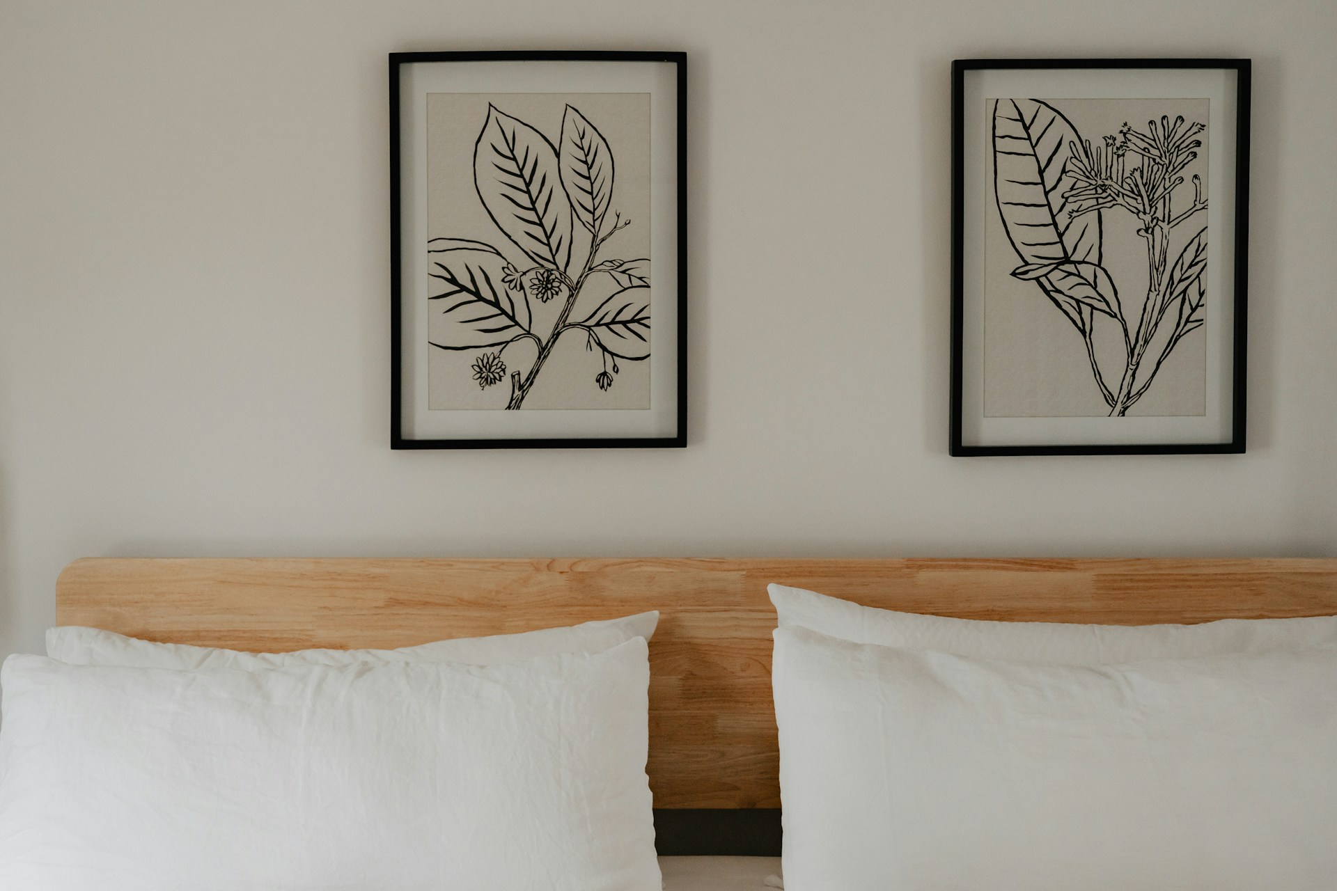 FOTO: Unsplash