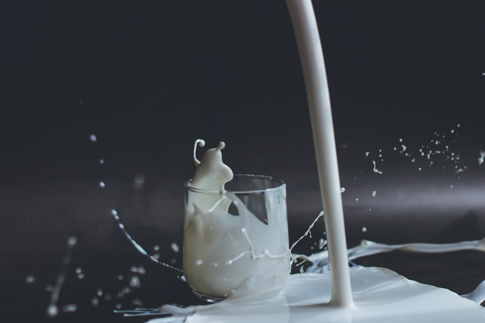 FOTO: Unsplash
