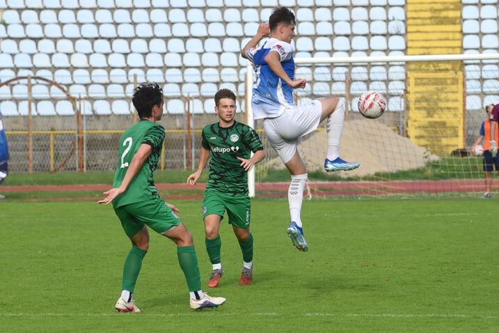 Foto D. MICULINIĆ