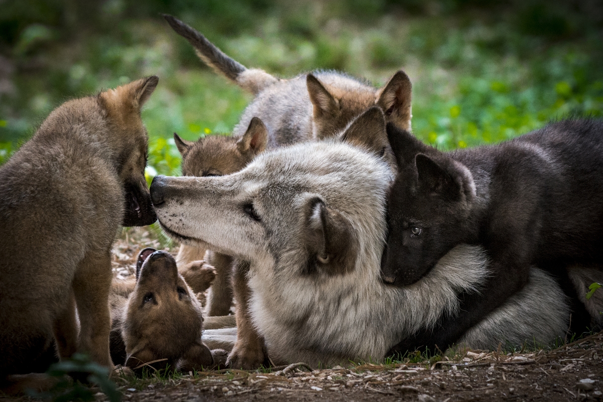Foto iStock