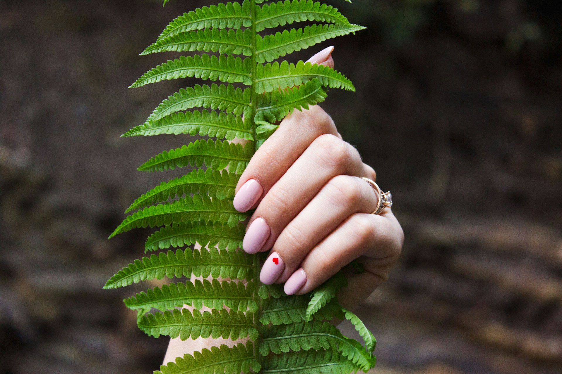FOTO: Unsplash