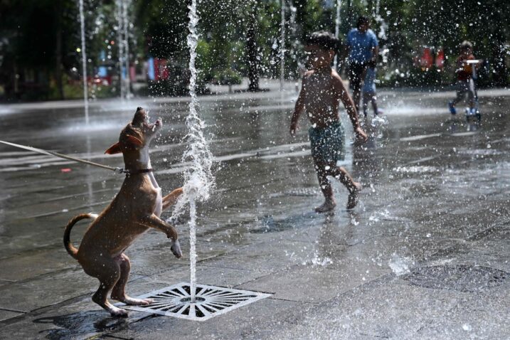 Foto Nicolas TUCAT / AFP