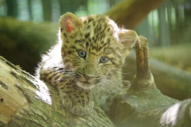 Foto ZOO Zagreb