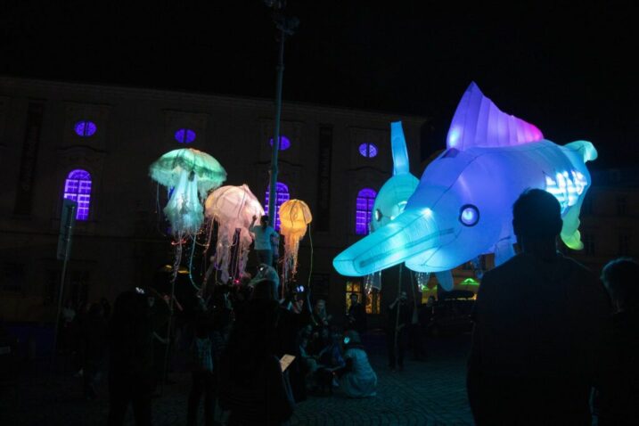 Foto Anna Cerna