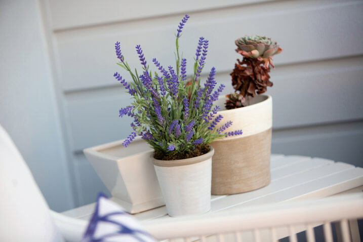 FOTO: iStock