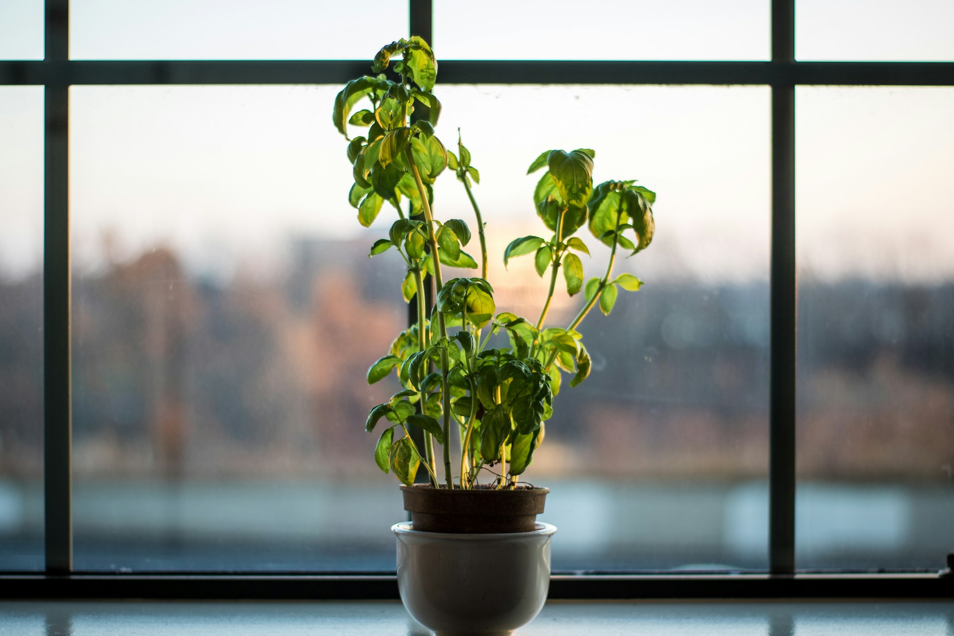 FOTO: Unsplash