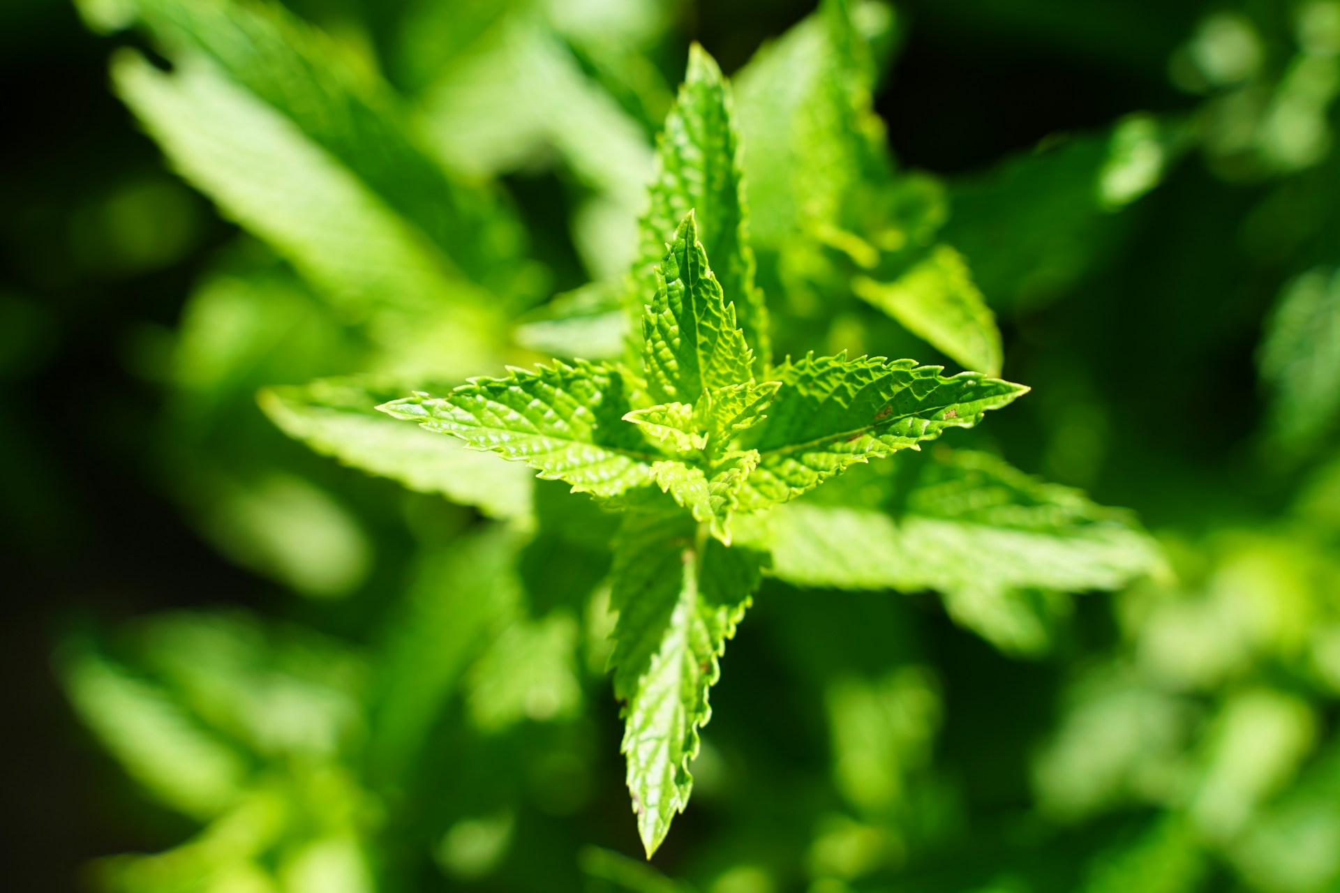 FOTO: Unsplash