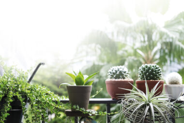 FOTO: iStock