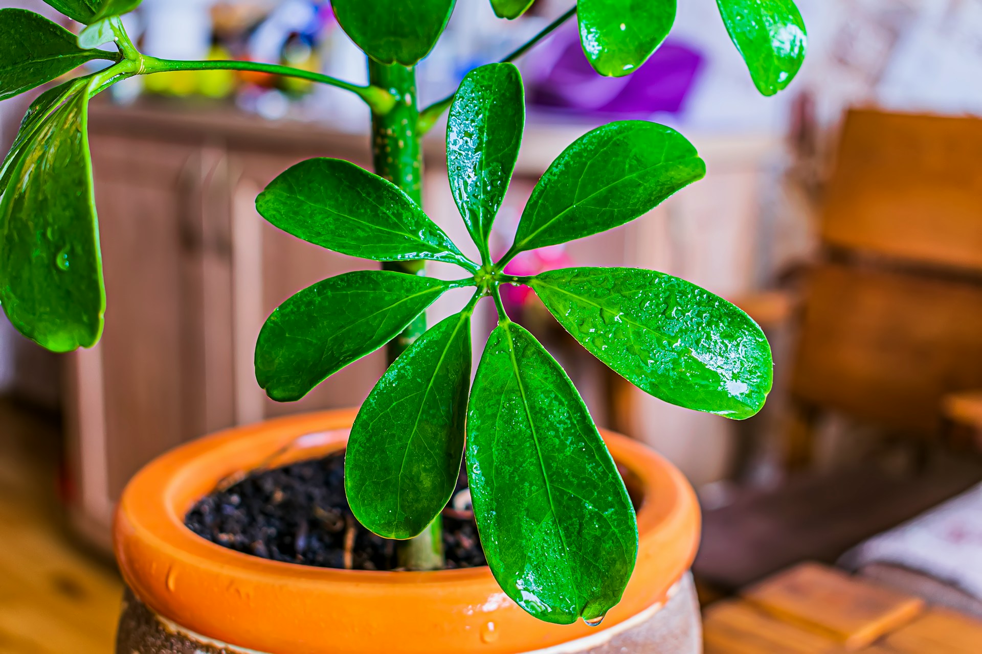 FOTO: Unsplash