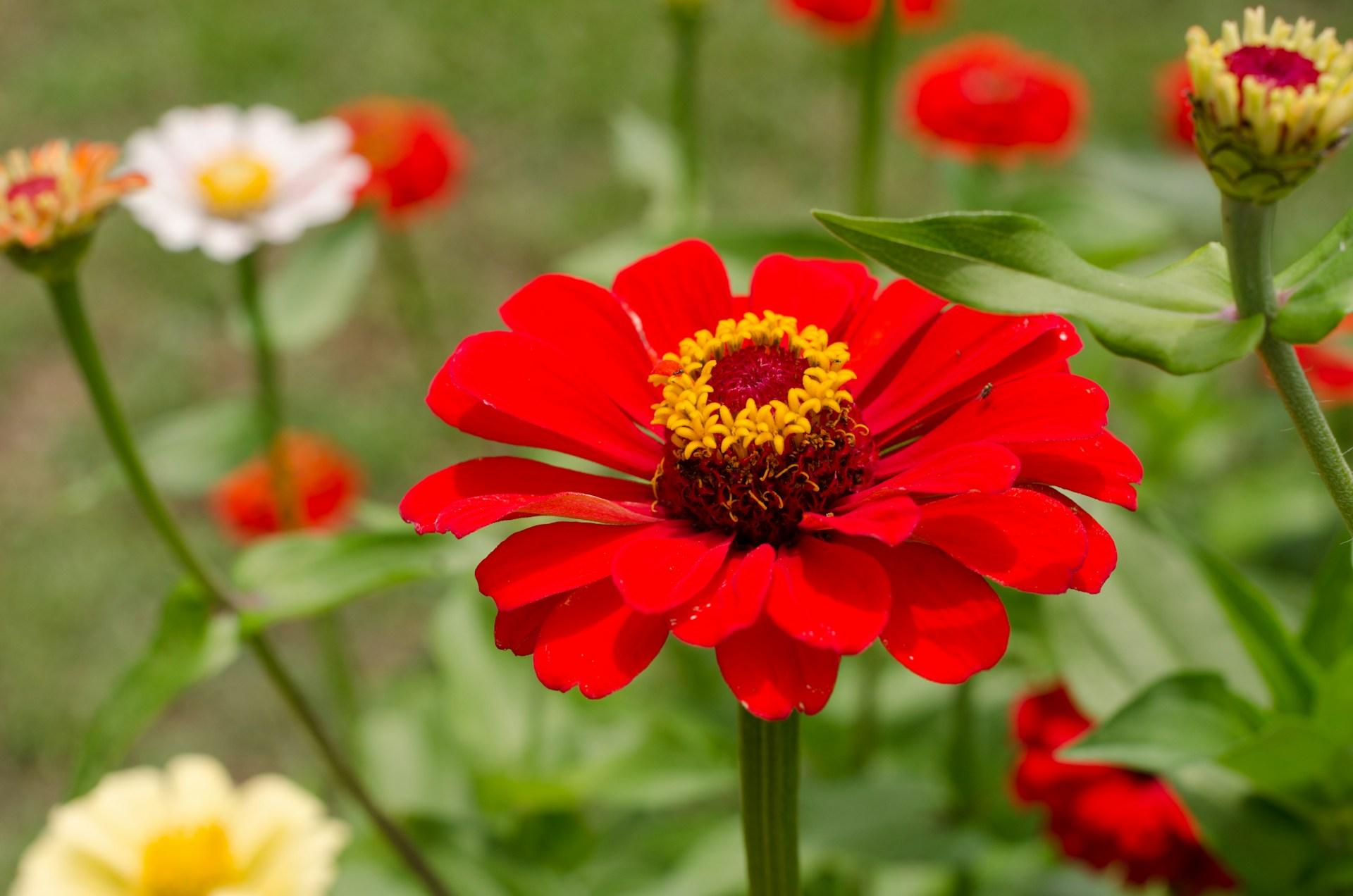 FOTO: Unsplash