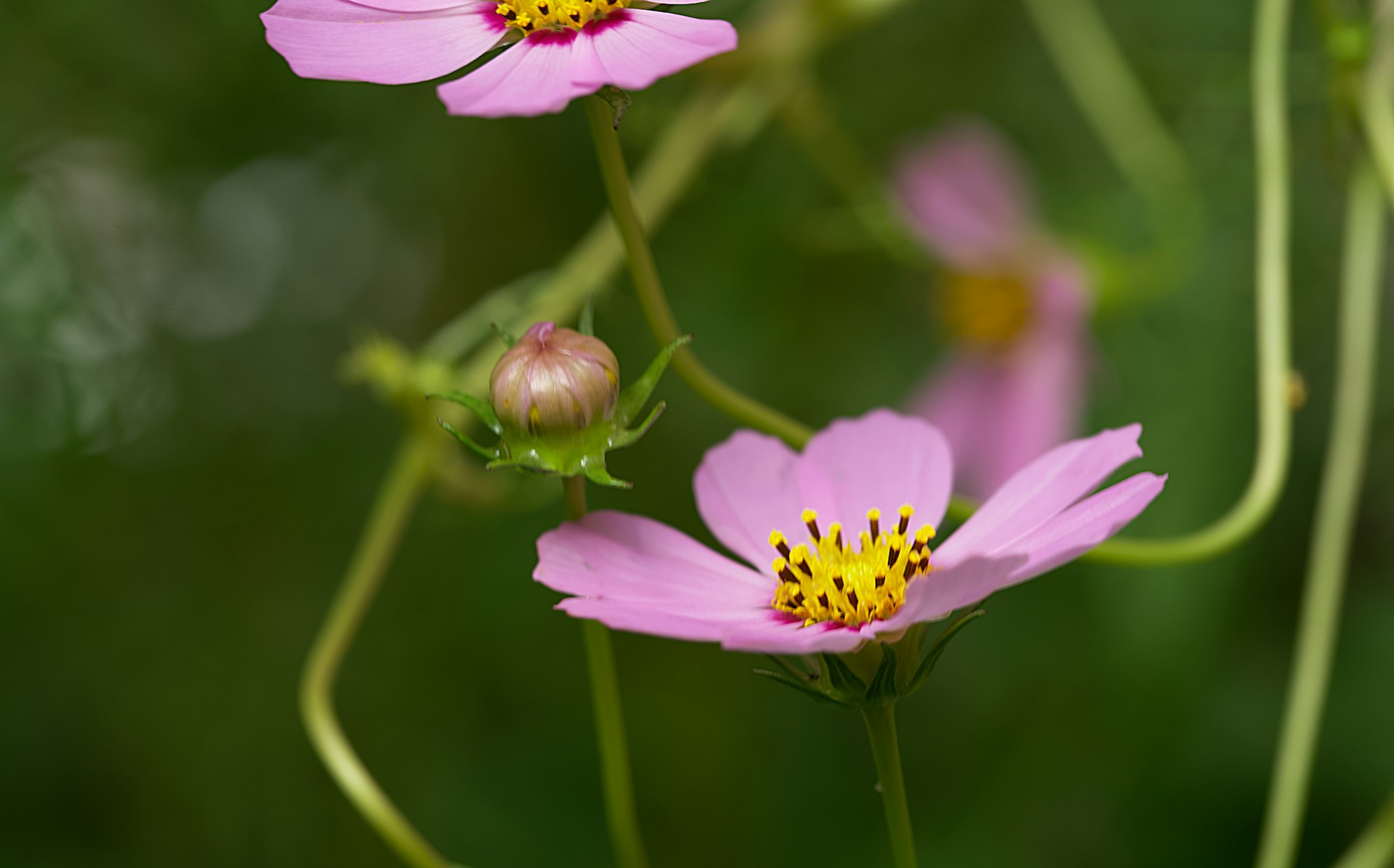 FOTO: Unsplash