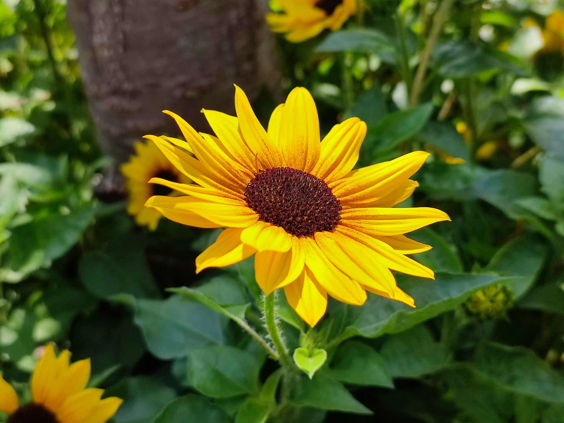 FOTO: Unsplash