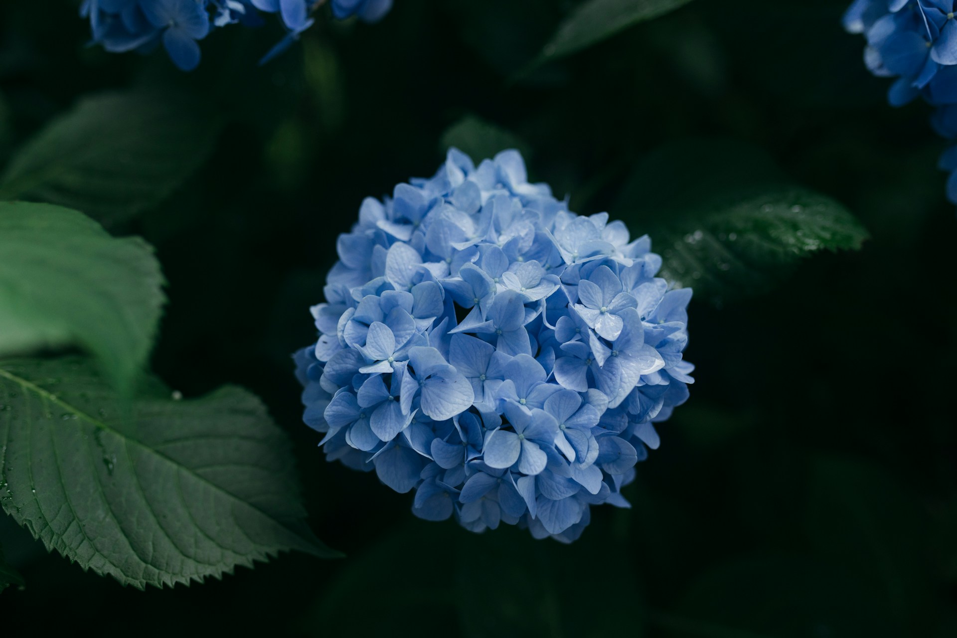 FOTO: Unsplash