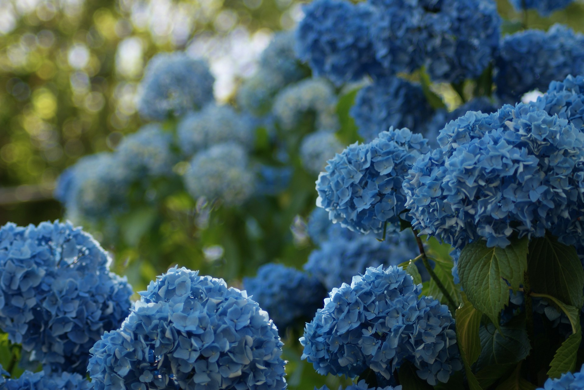FOTO: Unsplash