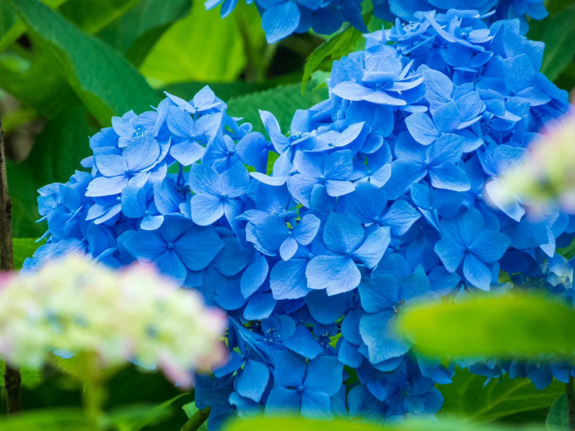 FOTO: Unsplash