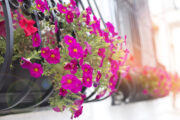 Foto: iStock