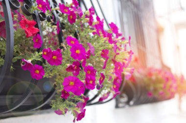 Foto: iStock