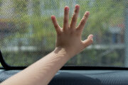 iStock
