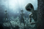 iStock