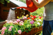 Foto: iStock