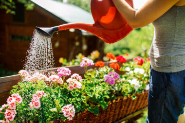 Foto: iStock
