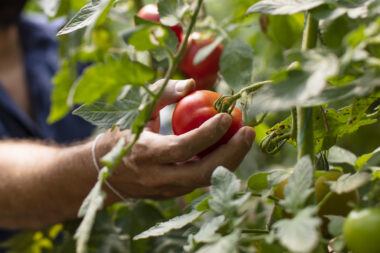 Foto: iStock