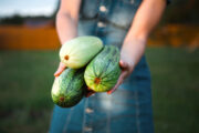 FOTO: iStock