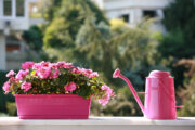 FOTO: iStock