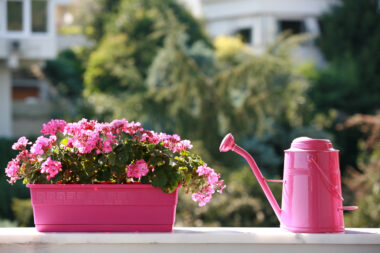 FOTO: iStock