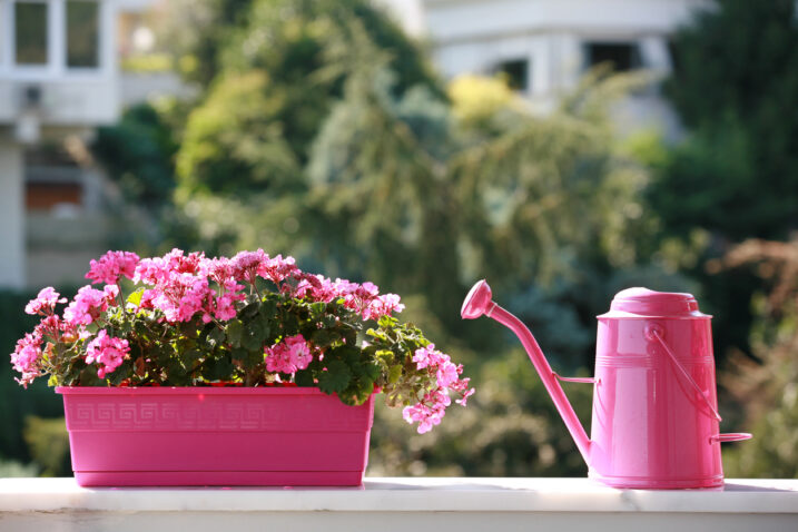 FOTO: iStock