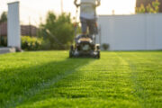 Foto: iStock