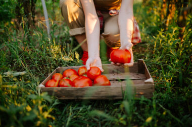 FOTO: iStock