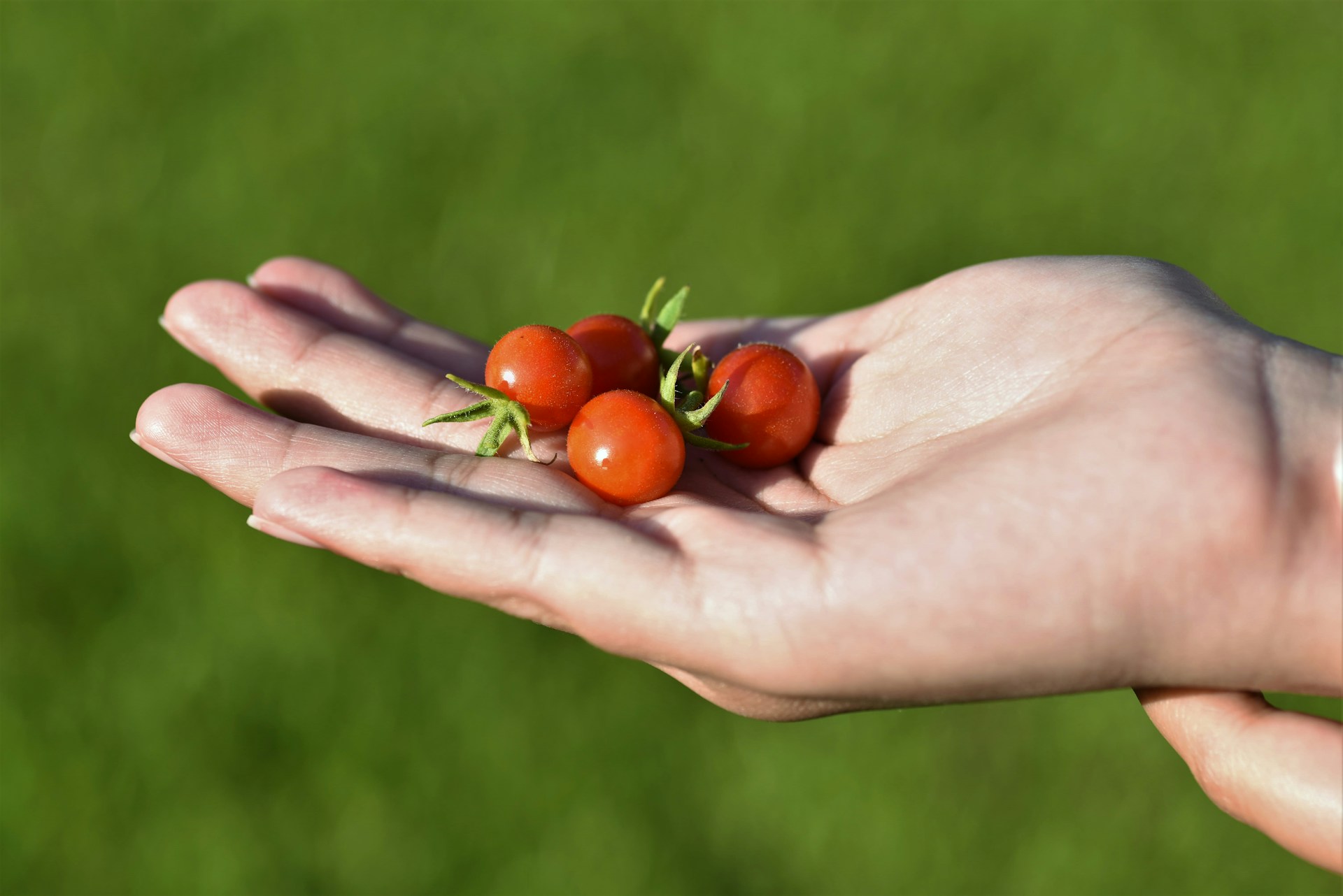 FOTO: Unsplash