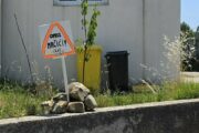 Znak upozorenja na mačiće