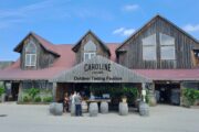 Caroline Cellars, među najpopularnijim vinarijama na poluotoku Niagara, smještena je tik uz gradić Niagara-on-the-Lake / Foto Edi Prodan