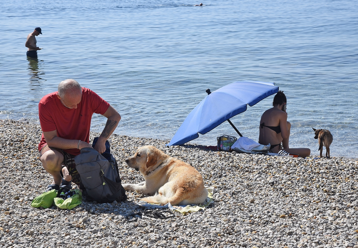 Pas može biti na psećoj plaži