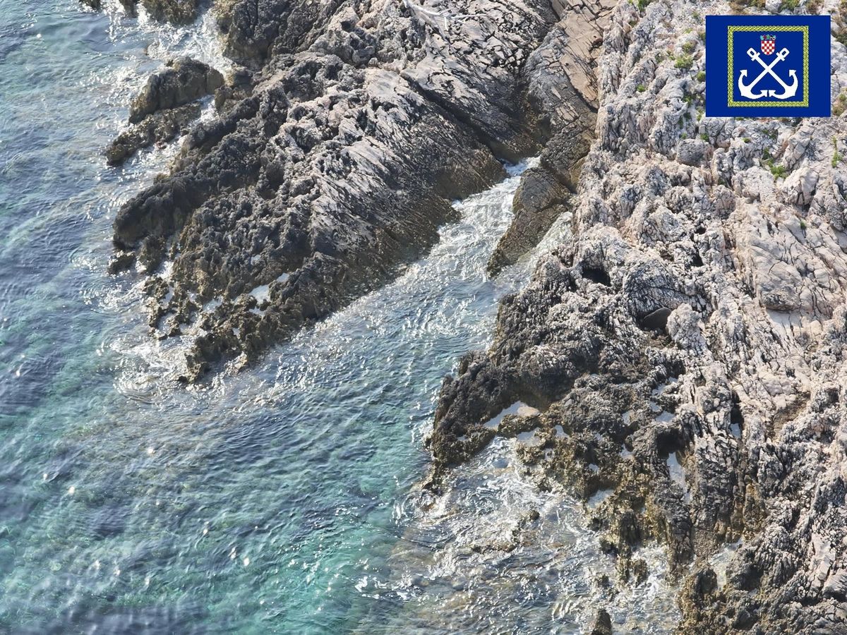 Foto LK Split