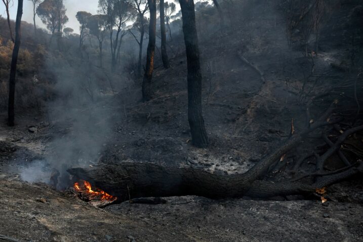 Foto AFP