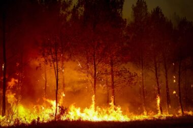 Foto AFP