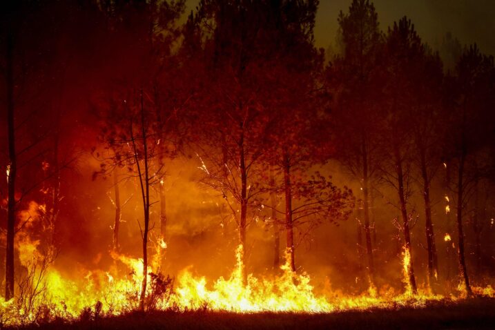 Foto AFP