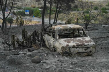 Photo by Jose JORDAN / AFP