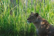 Foto ZG ZOO
